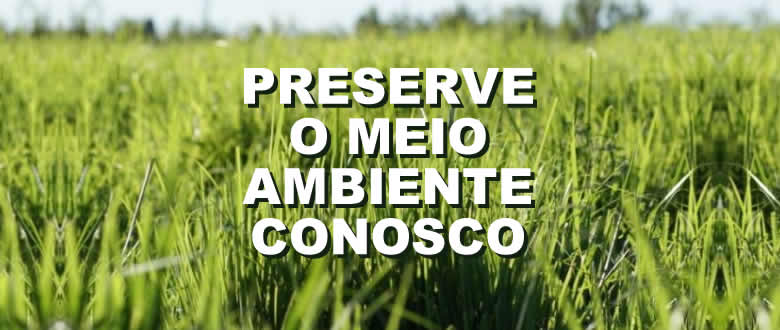 Sementes de Qualidade em Mambai GO