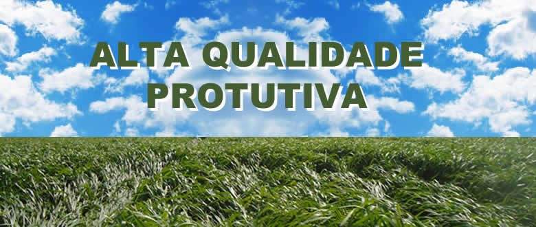 Soluções Eficientes em sementes em Mambai GO