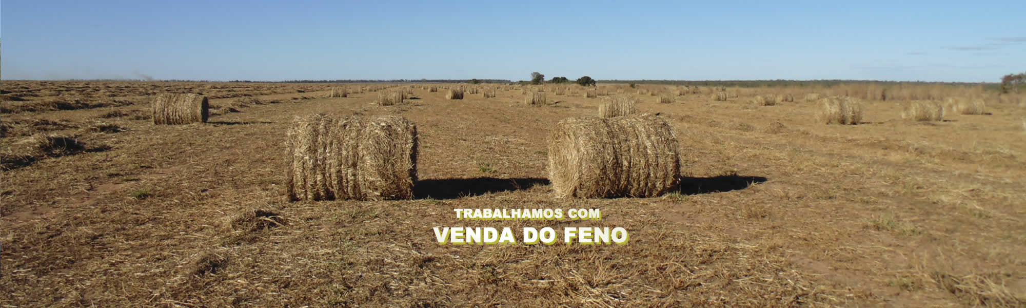 Venda de feno em mambai goias